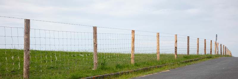 Holzpfosten für eine Zaunmontage im natürlichen nachhaltigen Look